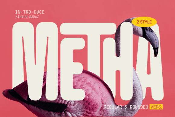 Metha: The Modern Sans-Serif with a Friendly, Rounded Edge
